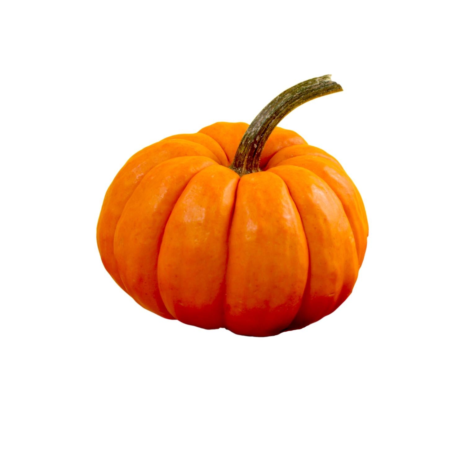 Pompoen antioxidanten