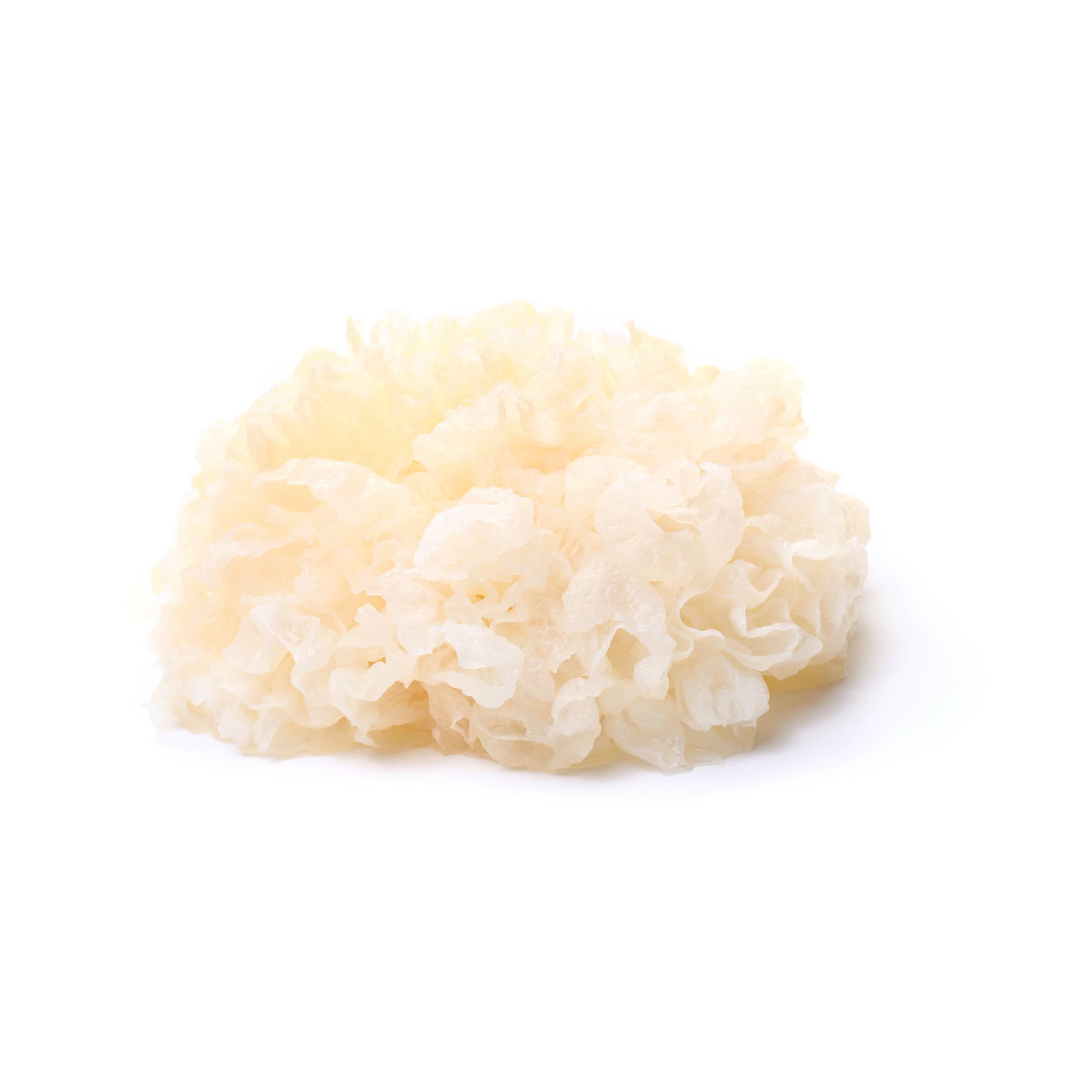 Tremella Mushroom